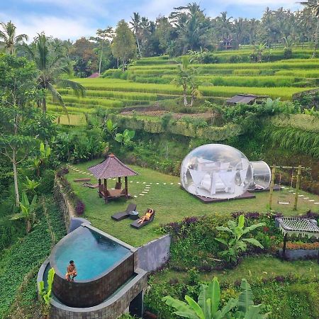 Romantic Bubble Dome Hotel Payangan Buitenkant foto