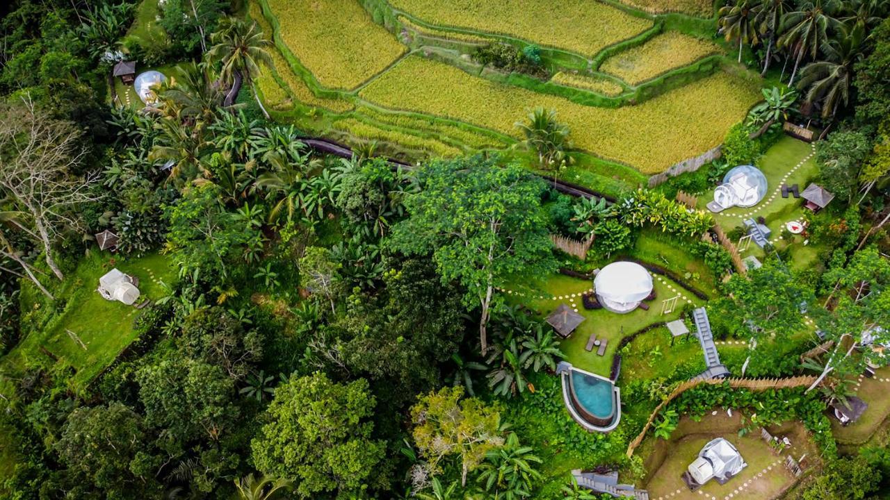 Romantic Bubble Dome Hotel Payangan Buitenkant foto