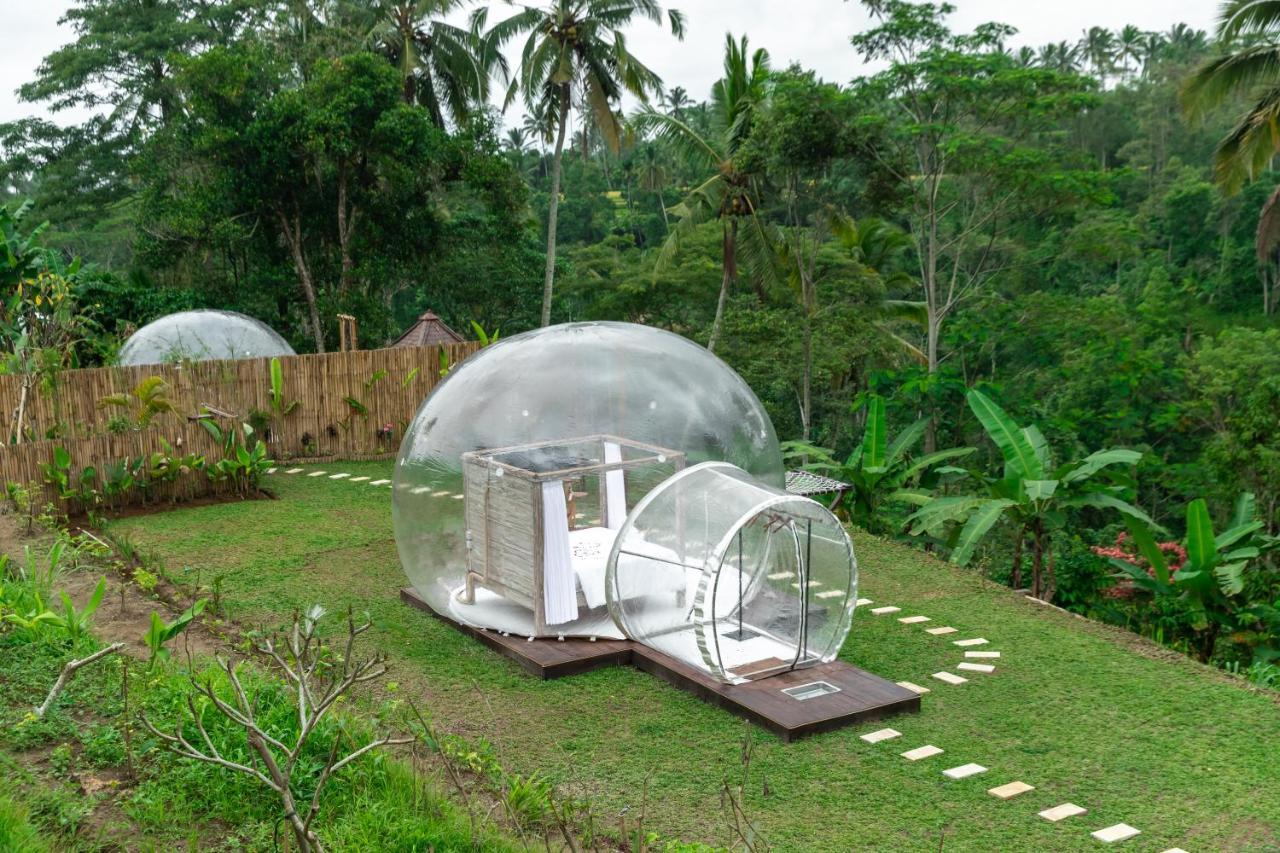 Romantic Bubble Dome Hotel Payangan Kamer foto